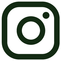 icono instagram